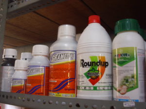 Cover photo for Pesticide Disposal Day in Pasquotank County