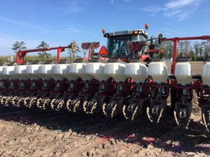Cover photo for 2019 Pasquotank Corn Variety Trial