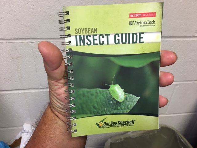 Soybean Insect Guide