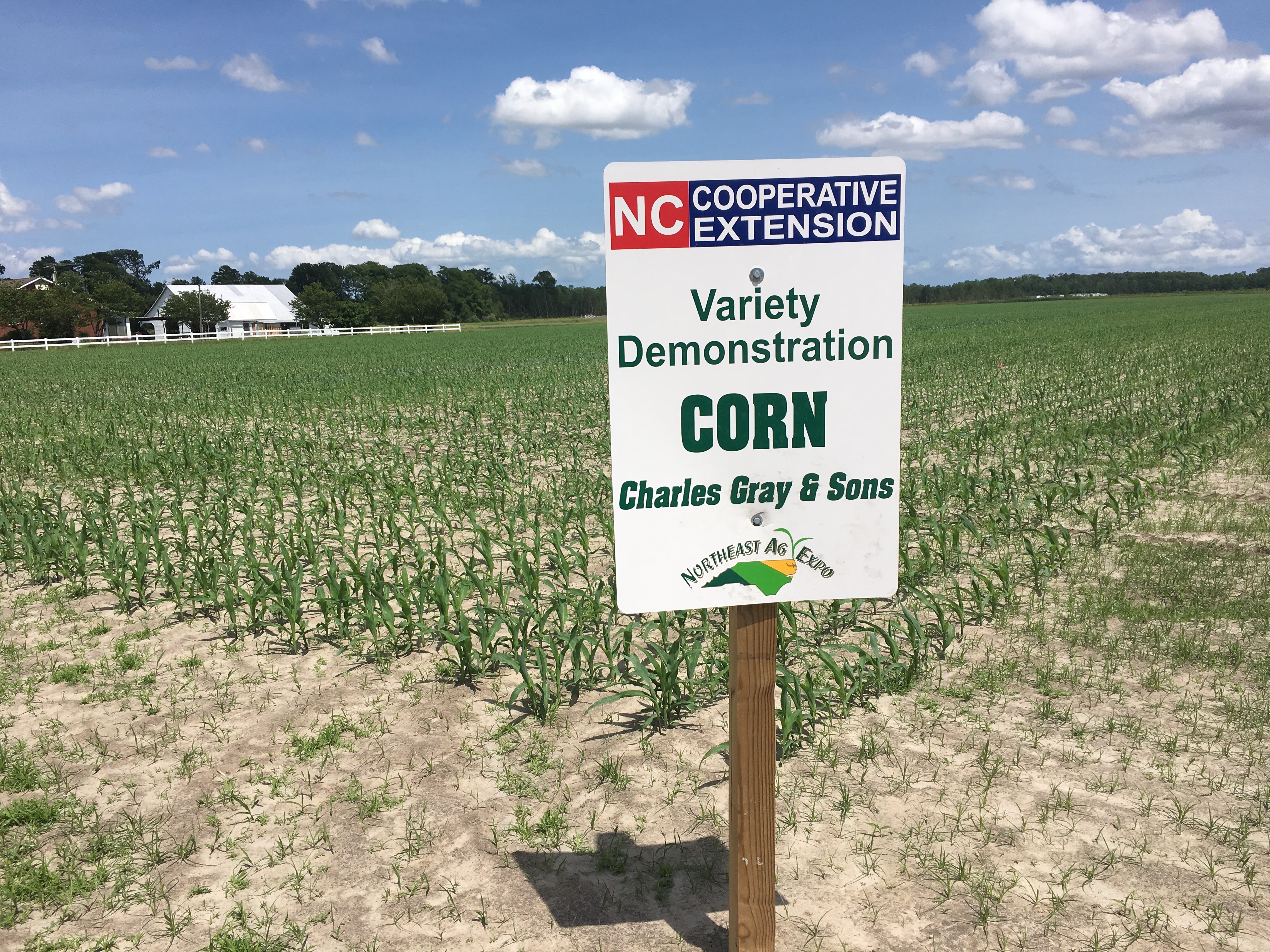 Northeast Ag Expo Corn Variety Trial