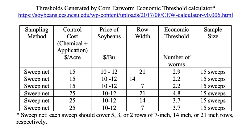 Corn Earworm