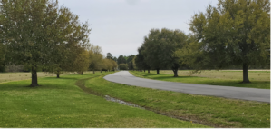 Cover photo for Albemarle Area Landscape School